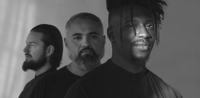 Animals as Leaders (1)